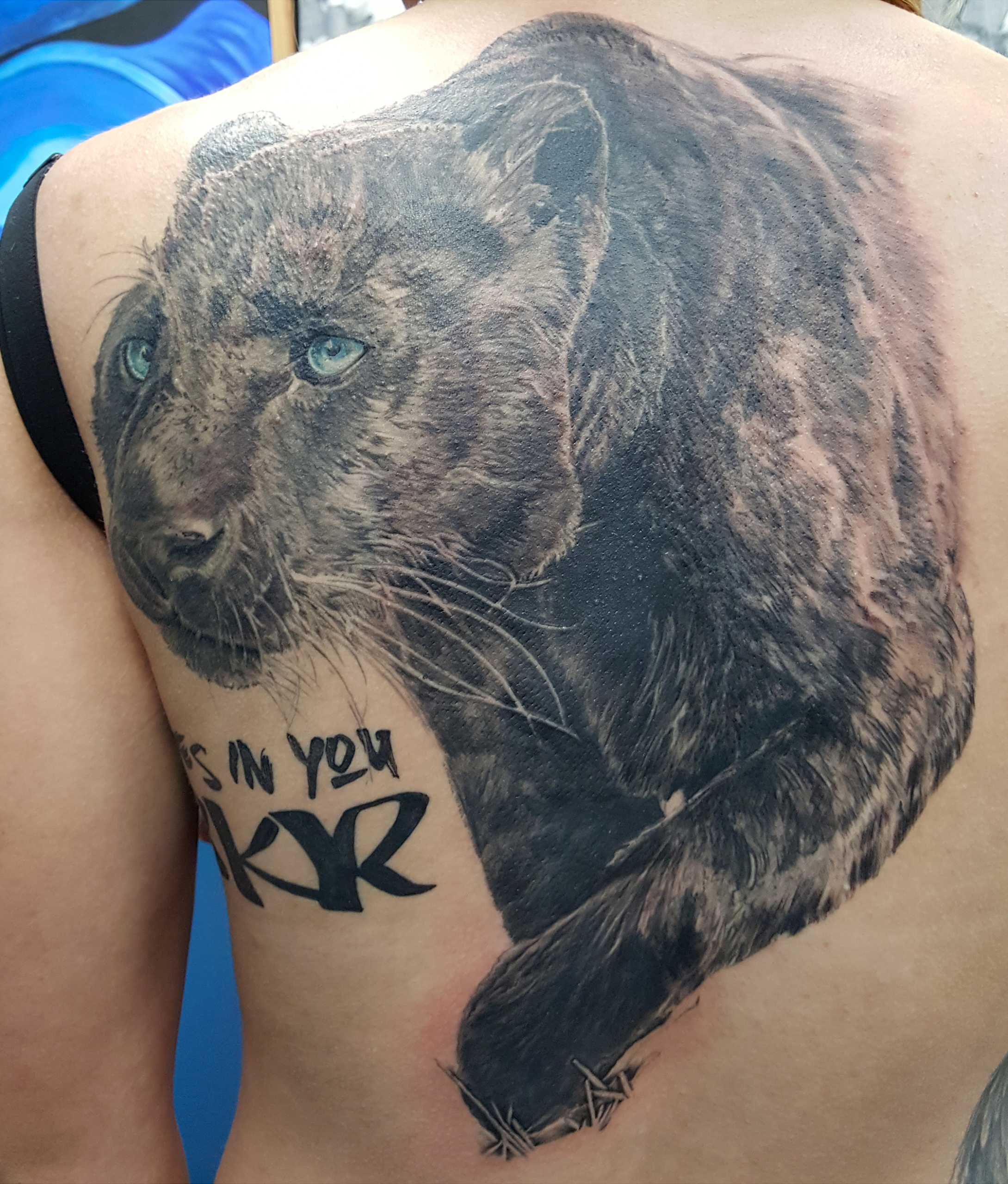 Realism in skin, half back tattoo of a prowling black panther.  Blue eyes are the only color in this realistic black and grey tattoo.