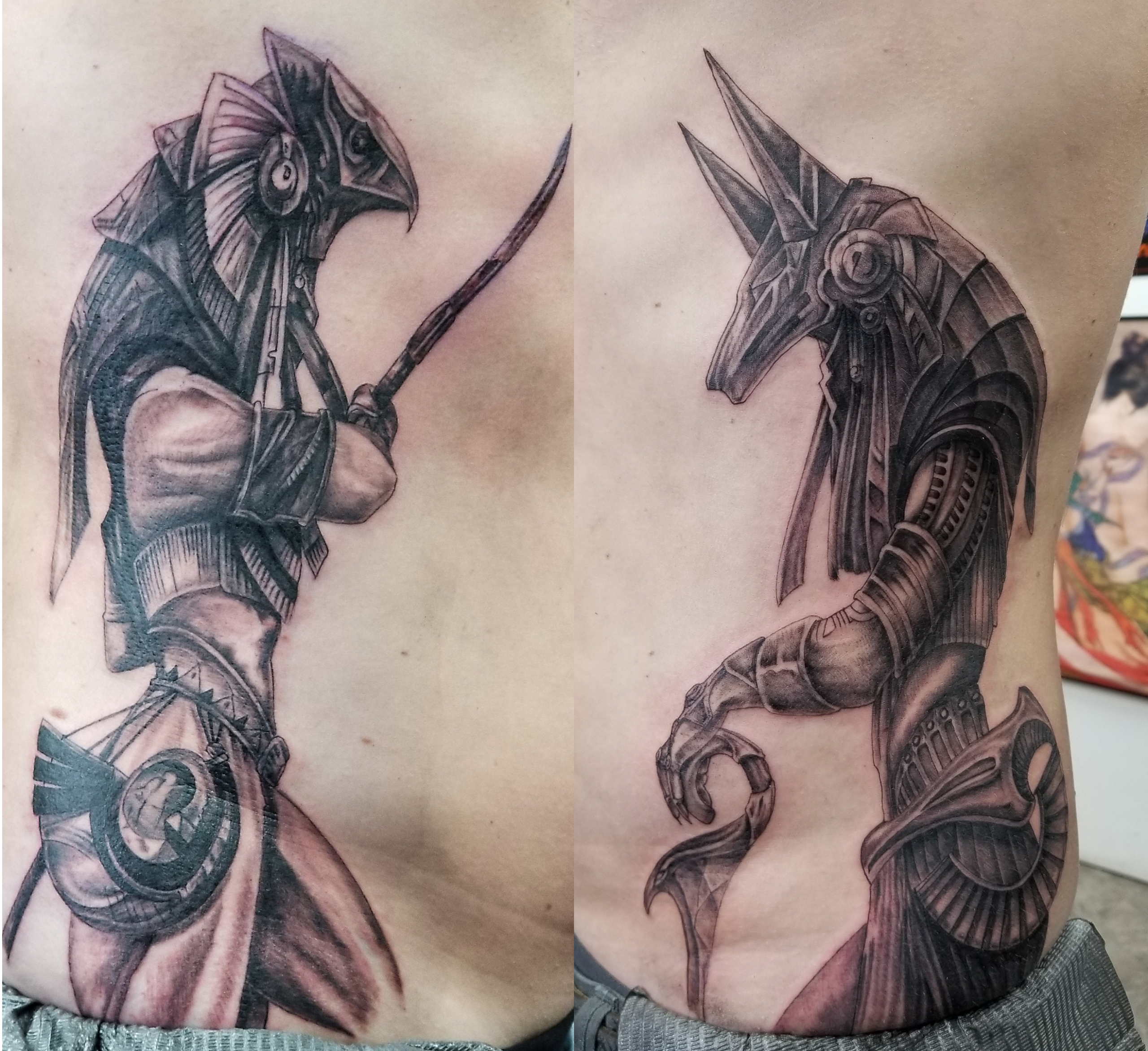 Egyptian gods Ra and Anubis in realistic black and grey tattoos on the ribs.