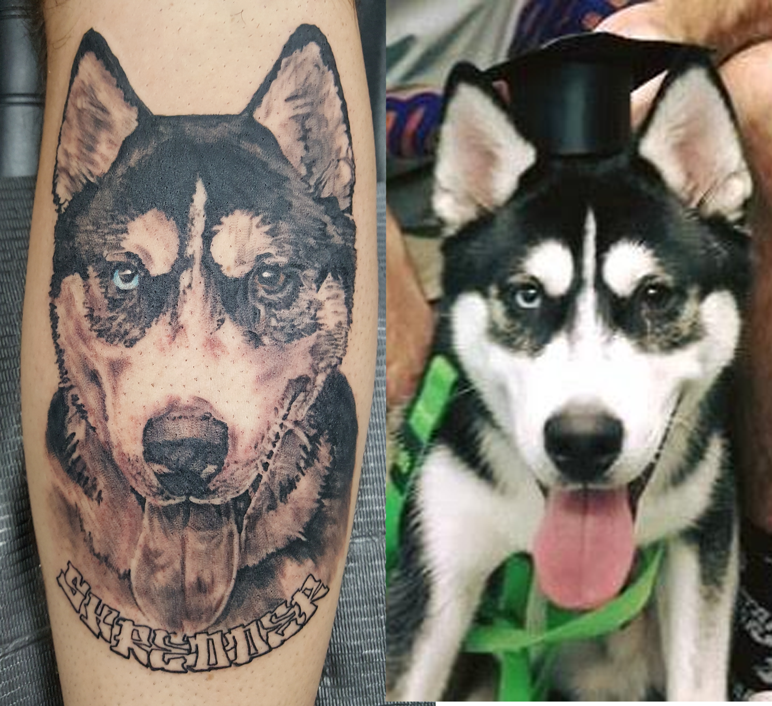 Realistic black and grey tattoo of his husy who passed. His name was Shredder