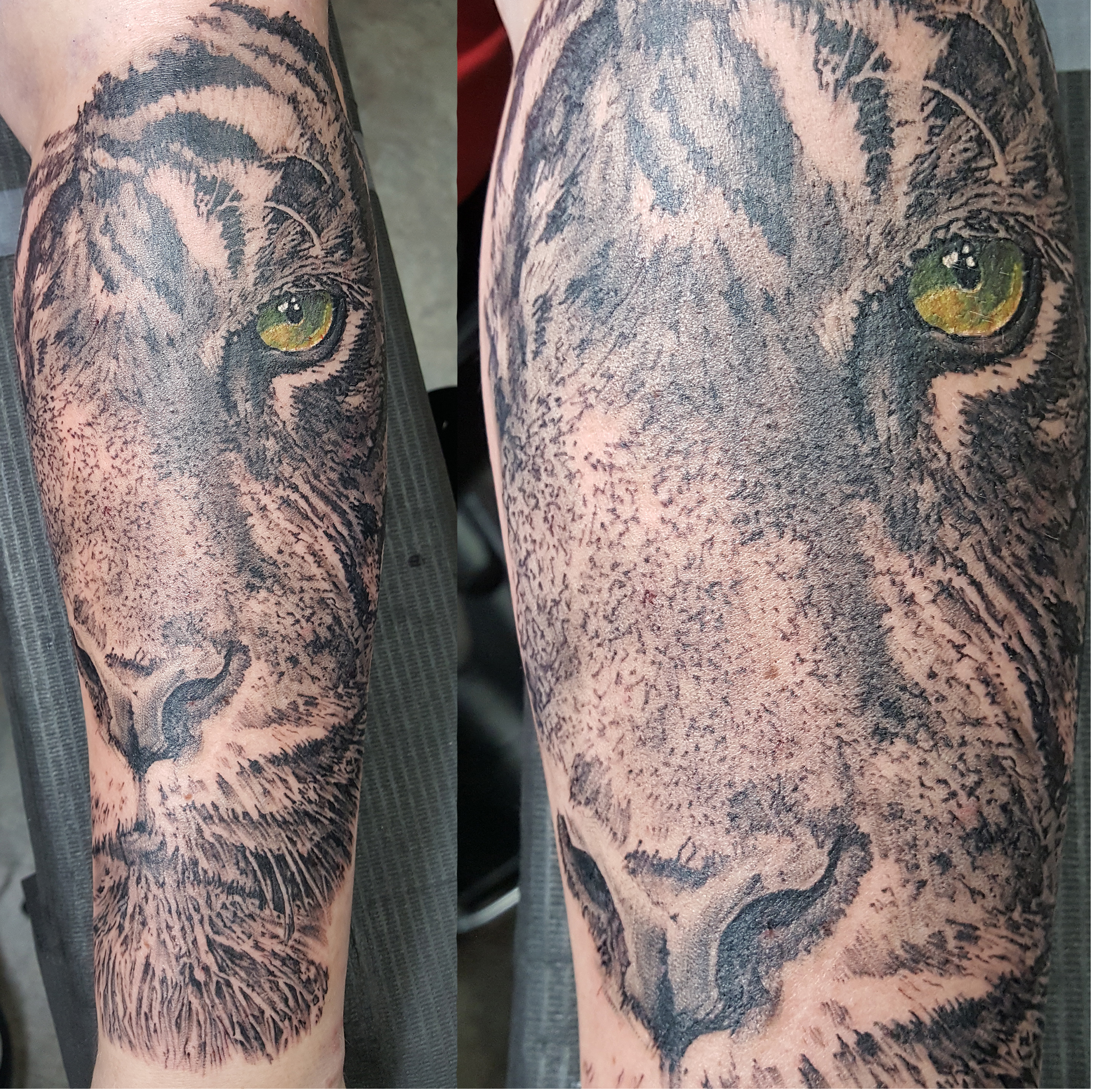 Tiger face with realistic tattooed fur adn colored eye.  Work of this scale is awesome.