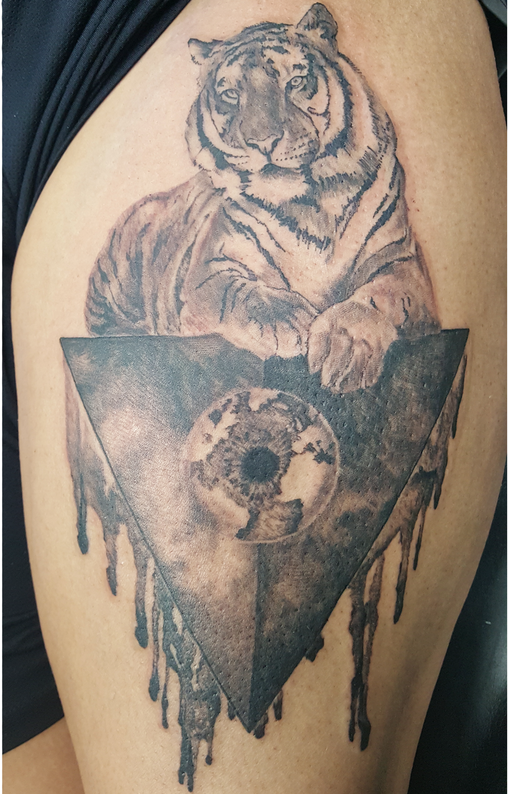 illuminati much?  Tiger resting on his hard won world conquest. Fun black and grey tattoo on a thigh.